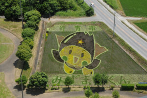 田んぼに「みずまるくん」