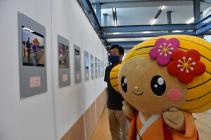 梅まつりフォトコン展　市役所で３０日まで