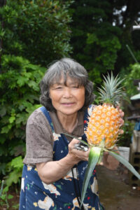 庭で収穫 南国果実 「食べた残りのヘタが原点」