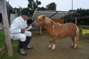【茨城再見聞】ロッカと道の駅デビュー　松崎さんとミニ馬（潮来）