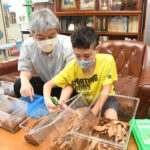 クワガタで持ち切り　清流高校の好意を受け取った上小川小　全クラスと、校長先生も名乗り出て飼育中