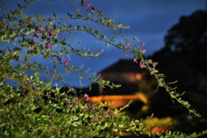 【茨城再見聞】秋風そよぐ萩まつり　偕楽園（水戸）