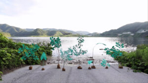人と環境考える「道草展」 水戸芸術館 11月まで