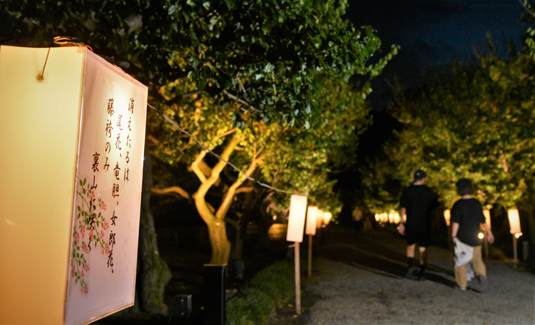 茨城再見聞 秋風そよぐ萩まつり 偕楽園 水戸 よみうりタウンニュース