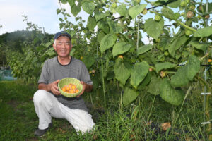 【茨城再見聞】花貫に実る橙色のダイヤ フルーツほおずき(高萩)