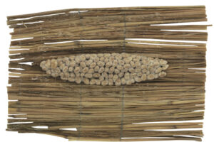 茨城プレミアム納豆