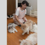 【前向きに 新しい生活様式①】目の前の幸せを励みに 再始動した猫カフェオーナー (鹿嶋)