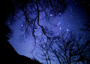 画廊写真講座の作品展　ひたちなか「エスパース」