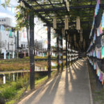 あやめ園で風のイベント　通路に風鈴や短冊飾る