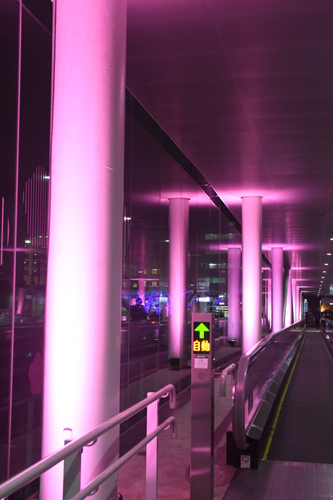 構内ライトアップ3