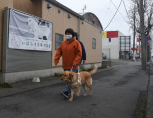 【茨城再見聞】間もなく誕生 盲導犬ハティ いばらき盲導犬協会