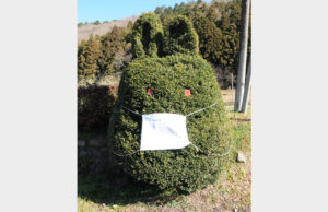 ツゲのウサギもマスク着用