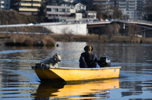 息ぴったり 湖上の名コンビ　朝の千波湖