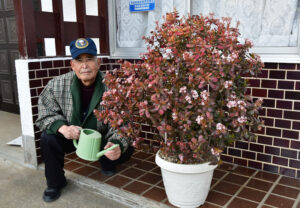 カネノナルキ開花