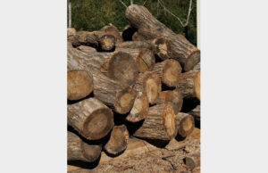 美和の薪「売りつくし特売」 道の駅みわで11日