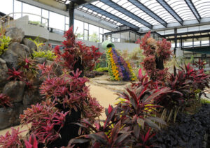 南国や砂漠も巡る屋内散歩 29日再開の水戸市植物公園の温室