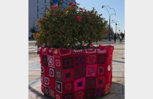 街を彩るヤーンボミング展　市民交流センター