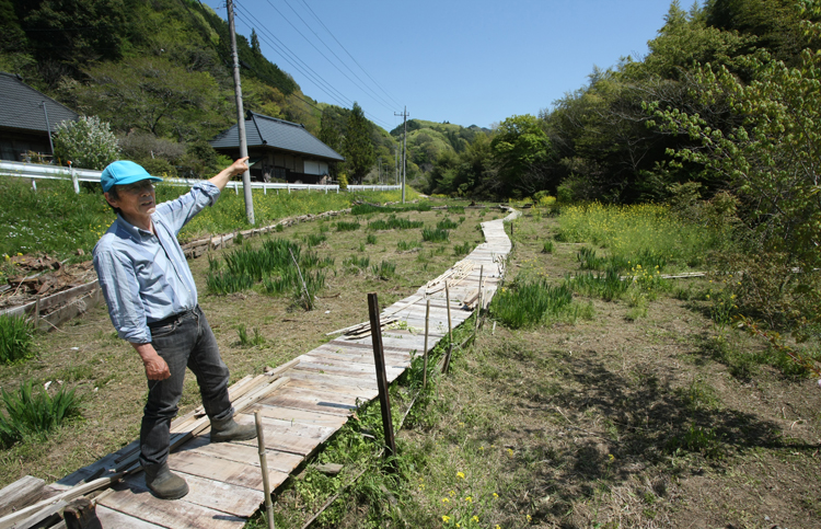 休耕田をアヤメ園に　中島さんが1人で整備　開花は６月中旬