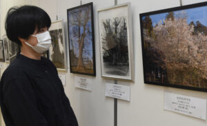 関右馬允さん撮影巨樹写真 南部図書館ギャラリーで展示