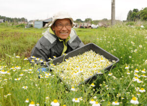 大好きな畑で笑顔満開　「涸沼ハーブの里」の児玉さん