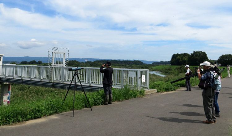 常陸太田の久慈川で探鳥会　日本野鳥の会茨城県が２７日