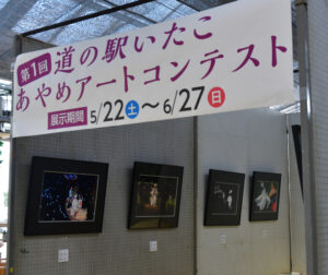 あやめアートコンテスト　道の駅いたこ　２７日まで
