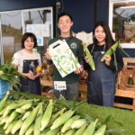 採れたてトウモロコシを販売 「本田農園」直売所開店