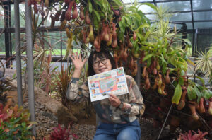 食中植物のクイズシート 市植物公園が製作、配布