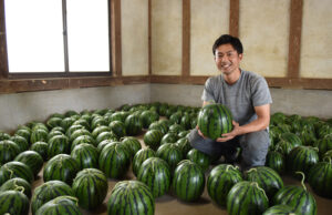 収穫待つ畑の創作家　イチジクを栽培して２０余年の長谷川さん（茨城・潮来）