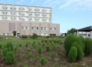 知る人ぞ知るコキアの名所 東石川第2公園