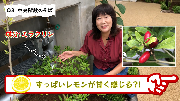 自宅で“植物クイズ”楽しんで　水戸市植物公園が動画制作、ネット公開