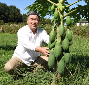 “コロンブス”が広める野菜 緑色の「那珂パパイヤ」 やぎぬま農園(茨城・那珂)