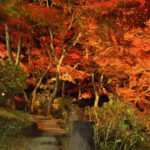 名峰の変化を楽しむ 日本百名山に数えられる筑波山(茨城・つくば)