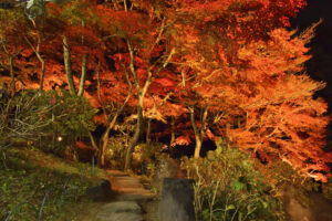 名峰の変化を楽しむ 日本百名山に数えられる筑波山(茨城・つくば)