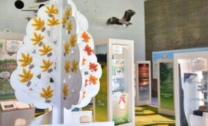 村を学ぶ新施設 歴史と未来の交流館(茨城・東海)