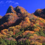 色づき、ボリュームもベスト 奥久慈大子の山、滝、寺社など(茨城・大子)