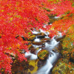 紅葉と神玉を巡る 多賀山地の渓谷、山と、神社など(茨城・北茨城)
