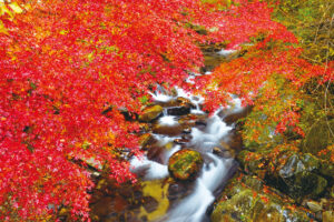 紅葉と神玉を巡る　多賀山地の渓谷、山と、神社など（茨城・北茨城）