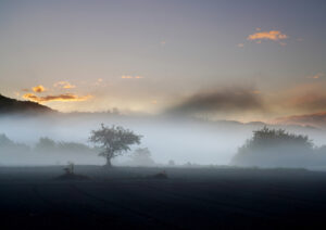 情熱が広めた幻想美　県北に川霧のシーズン（茨城・常陸大宮）