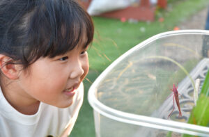 発見　ピンクのバッタ　自宅庭で　家族の話題の中心に（茨城・鹿嶋）