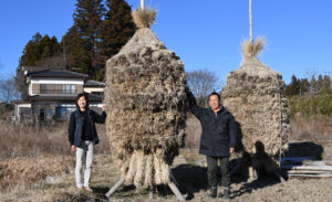 稲わらでつくる風物詩 田んぼのわらぼっち(茨城・大子)