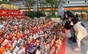 春の使者　すまし顔で１６００体　鹿島セントラルホテル（茨城・神栖）