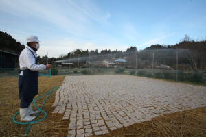 厳冬下　凍みこん作り（茨城・大子）