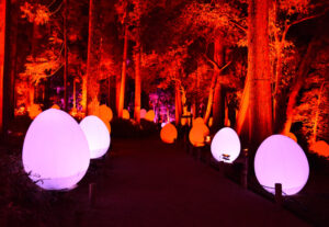 夜の名園 アートと共演 偕楽園 光の祭(茨城・水戸)