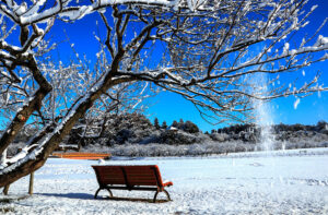 ひたちなか市写真連盟展 那珂湊支所(茨城・ひたちなか)