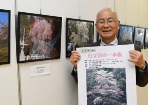 「日立市の一本桜」写真展 市立南部図書館で(茨城・日立)