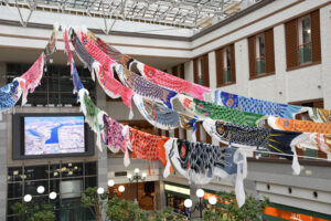 こいのぼり56匹群泳 「鹿島セントラルホテル」(茨城・神栖)