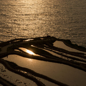 トップフォトグラファー展 19日まで ヒロサワ・シティで(茨城・水戸)