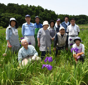 地域の絆が咲きそろう 地元グループが管理する青山花しょうぶ園(茨城・城里)