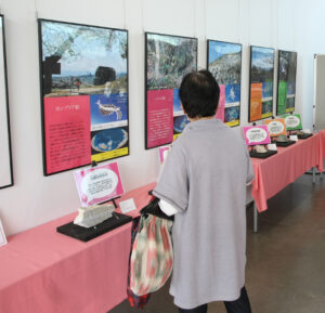 日立の岩石展(茨城・日立)